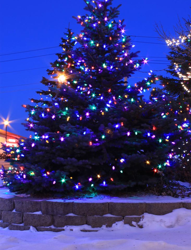 Christmas Tree with Colored Lights